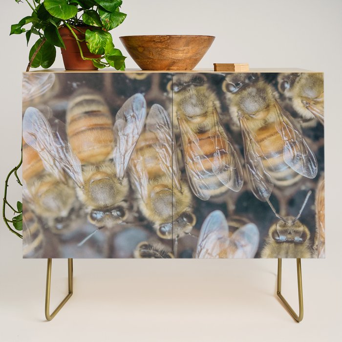 Honeybee Hive x environmental nature bee photograph Credenza Gallery Image 1