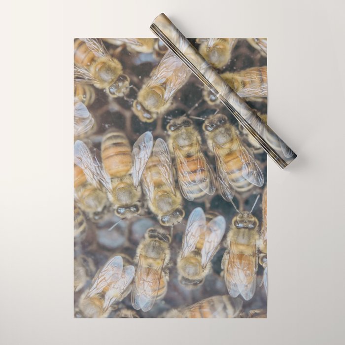 Honeybee Hive x environmental nature bee photograph Wrapping Paper Gallery Image 1