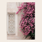 Pretty Window - Bougainvillea Flowers - Minimalist Portugal Travel Photography By Ingrid Beddoes Poster Gallery Image 4