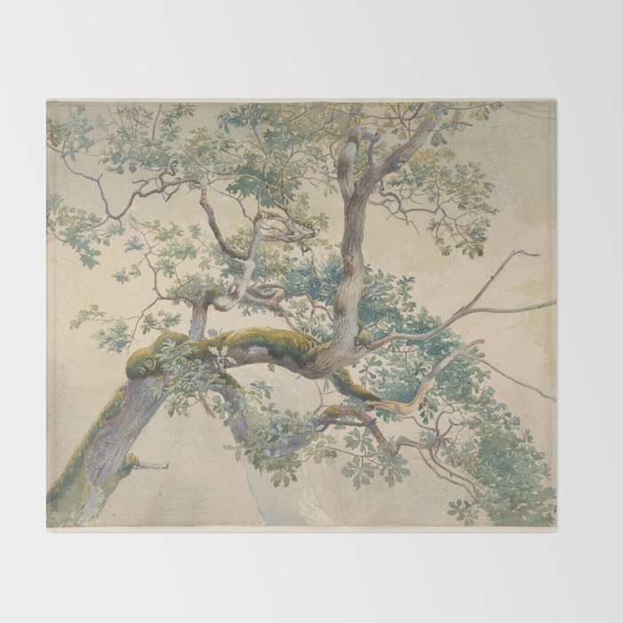 Tree Branches 1852â1908 Charles Reginald Aston Throw Blanket Gallery Image 2