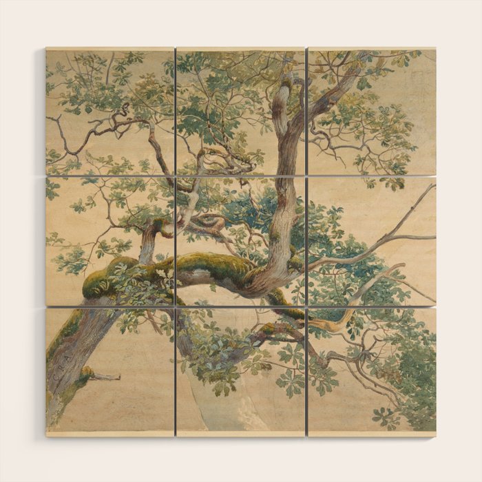Tree Branches 1852â1908 Charles Reginald Aston Wood Wall Art Gallery Image 1