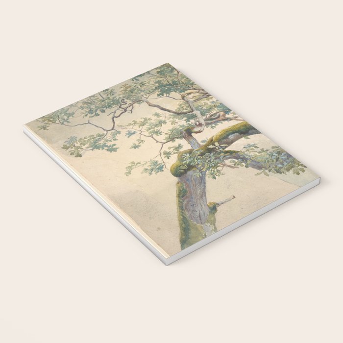 Tree Branches 1852â1908 Charles Reginald Aston Notebook Gallery Image 3