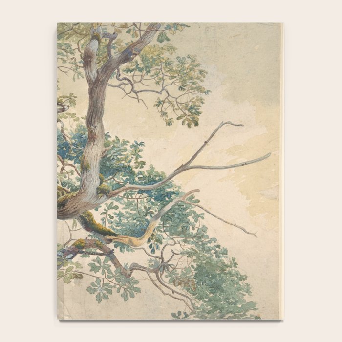 Tree Branches 1852â1908 Charles Reginald Aston Notebook Gallery Image 4