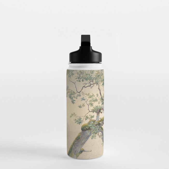 Tree Branches 1852â1908 Charles Reginald Aston Water Bottle Gallery Image 3