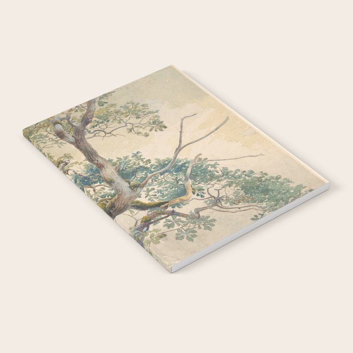 Tree Branches 1852â1908 Charles Reginald Aston Notebook Gallery Image 2