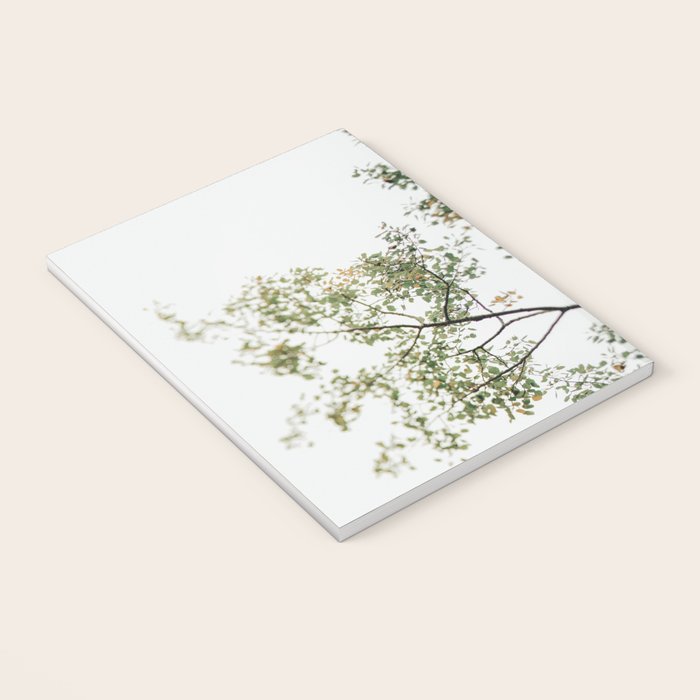 Overhead Canopy - Abstract Tree Photo Notebook Gallery Image 3