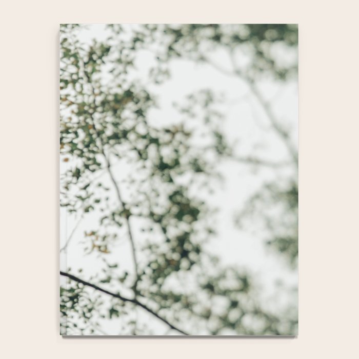 Overhead Canopy - Abstract Tree Photo Notebook Gallery Image 4