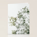 Overhead Canopy - Abstract Tree Photo Stationery Card Gallery Image 2