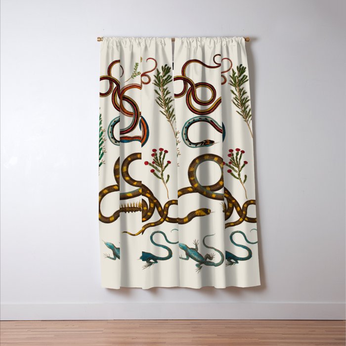 Albertus Seba Snakes And Lizards Window Curtain Gallery Image 3