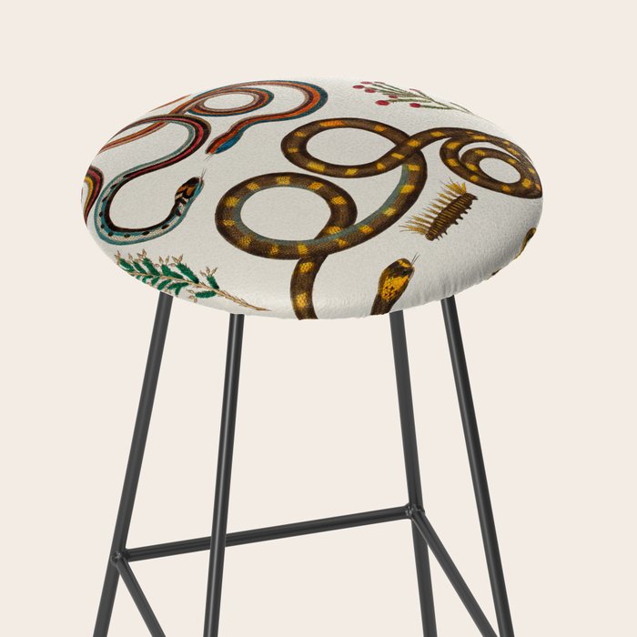 Albertus Seba Snakes And Lizards Stool Gallery Image 2