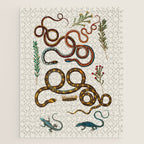 Albertus Seba Snakes And Lizards Jigsaw Puzzle Gallery Image 1