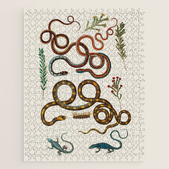Albertus Seba Snakes And Lizards Jigsaw Puzzle Gallery Image 1