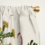 Albertus Seba Snakes And Lizards Window Curtain Gallery Image 2