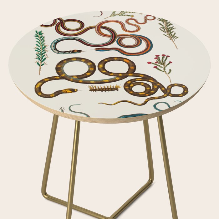 Albertus Seba Snakes And Lizards Side Table Gallery Image 2