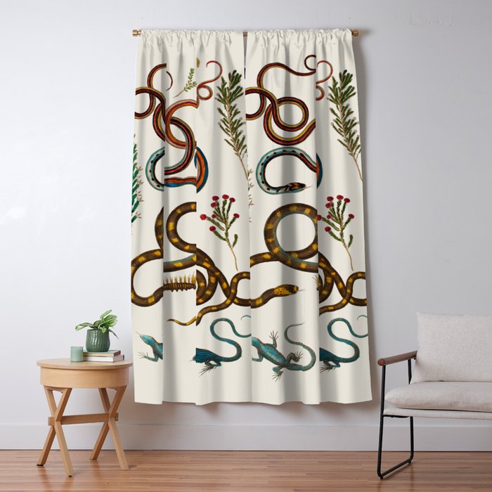 Albertus Seba Snakes And Lizards Window Curtain Gallery Image 1
