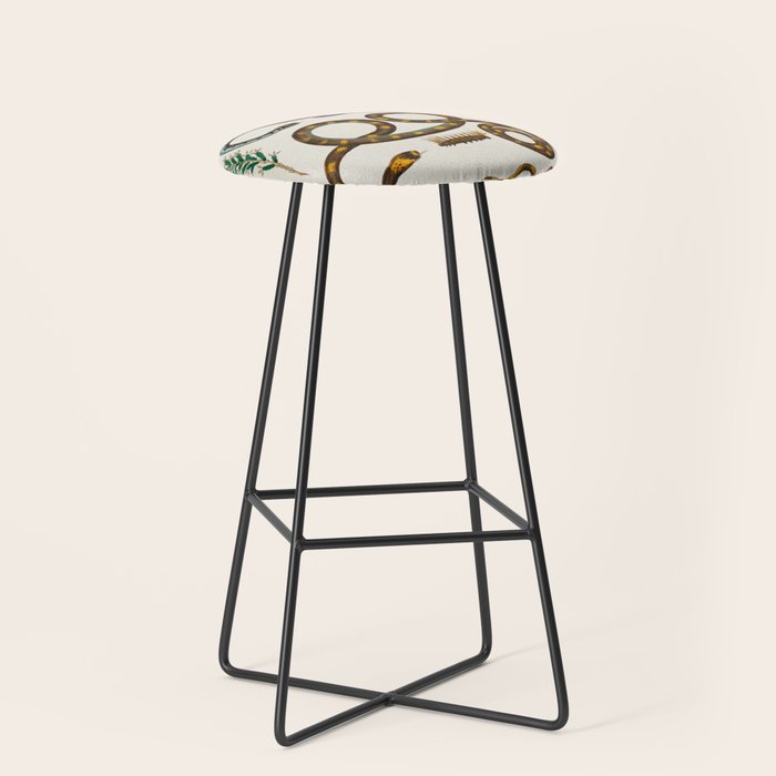 Albertus Seba Snakes And Lizards Stool Gallery Image 1