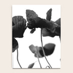 Poppy (black and white) Notebook Gallery Image 4