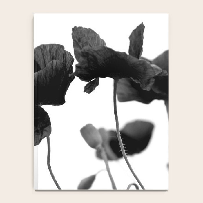Poppy (black and white) Notebook Gallery Image 4