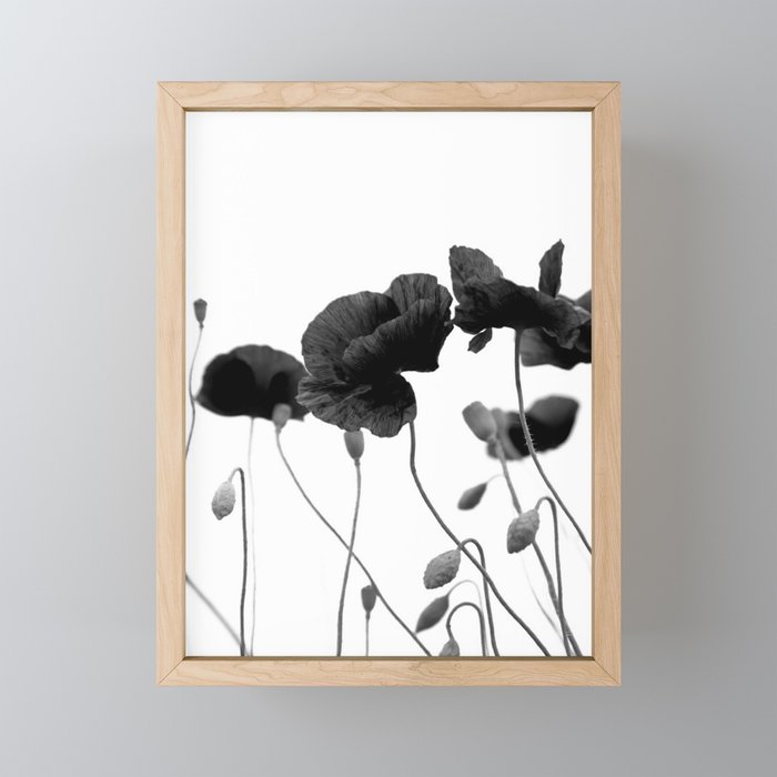 Poppy (black and white) Mini Art Print Gallery Image 1