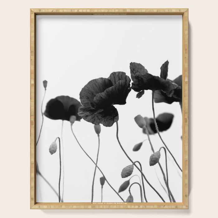 Poppy (black and white) Serving Tray Gallery Image 1