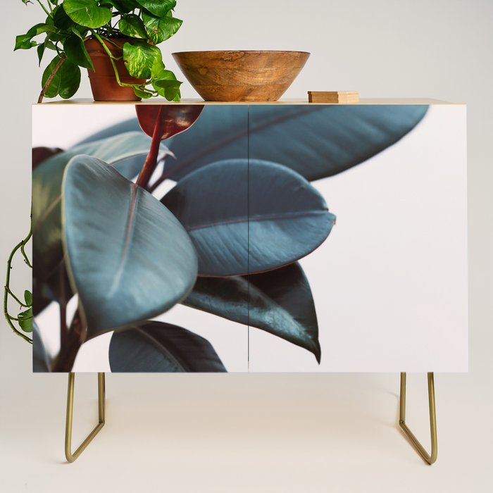 Night Ficus #2 Credenza Gallery Image 1