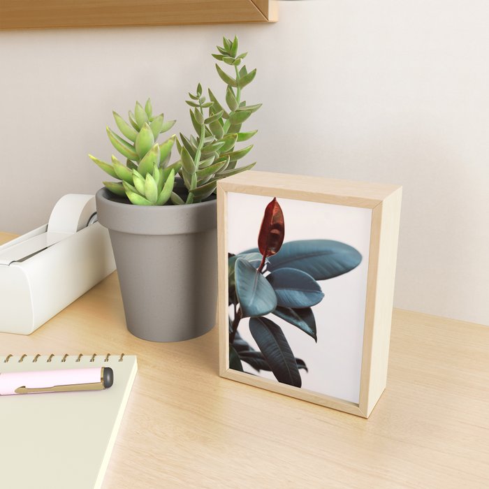 Night Ficus #2 Mini Art Print Gallery Image 2