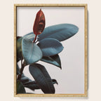 Night Ficus #2 Serving Tray Gallery Image 1