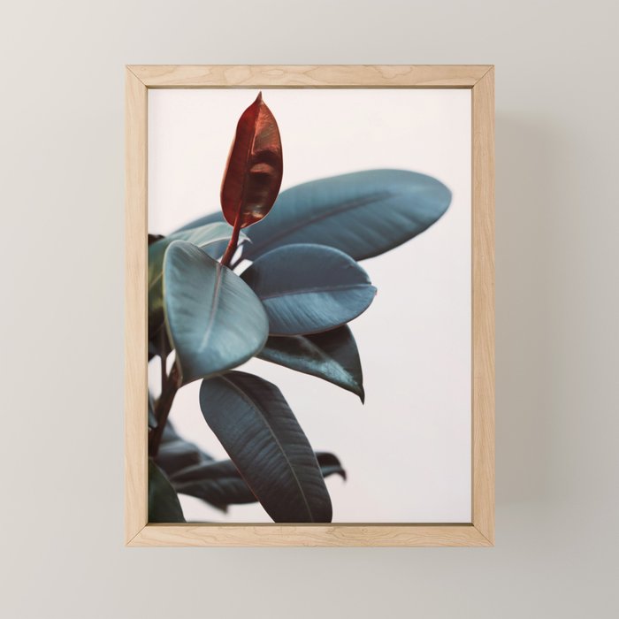 Night Ficus #2 Mini Art Print Gallery Image 1