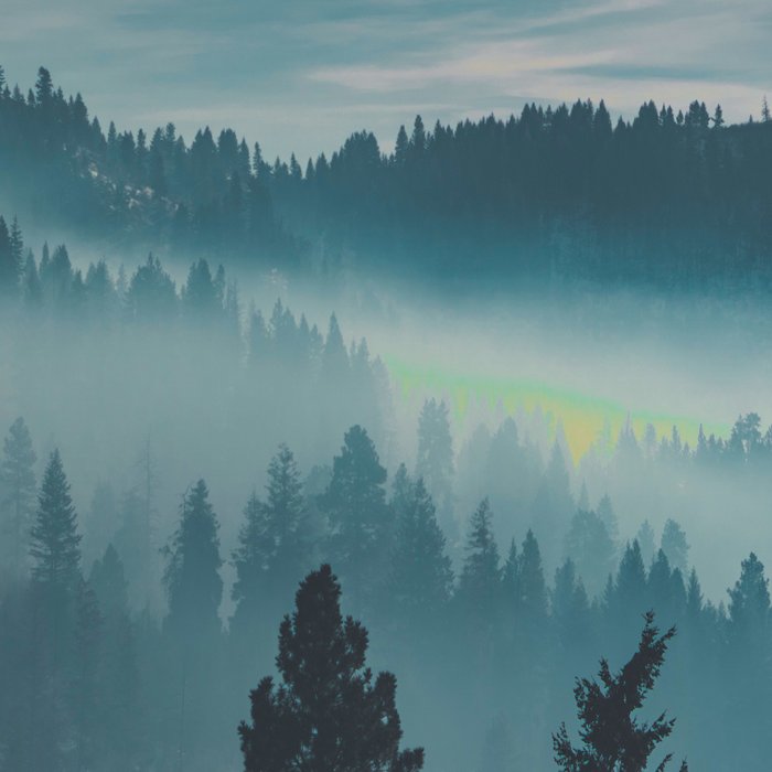 Misty Blue Watercolor Mountains Pine Trees Silhouette Minimalist Monochromatic Photo Coffee Mug Gallery Image 2