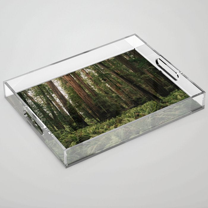 Redwood Forest Acrylic Tray Gallery Image 1