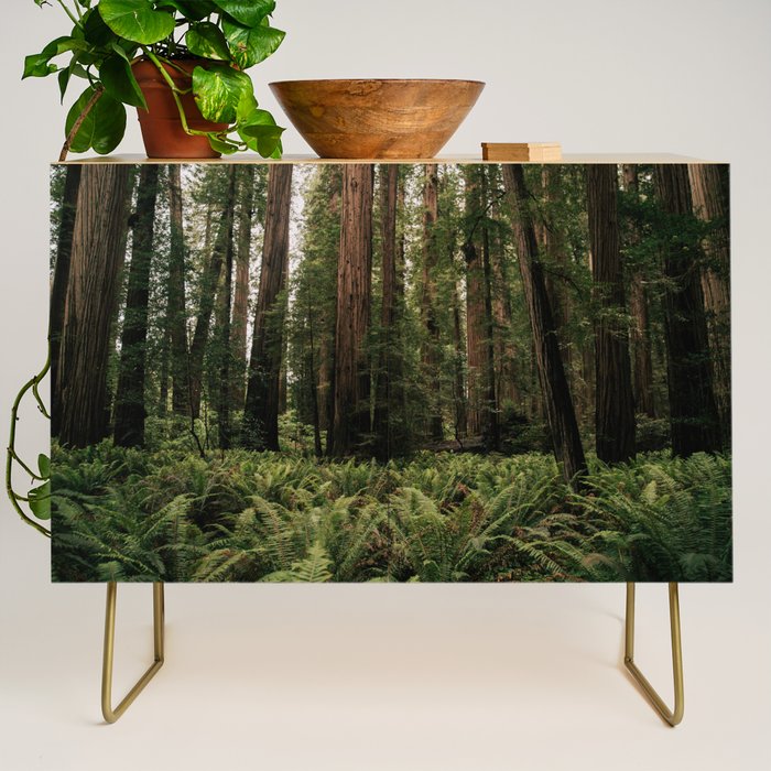 Redwood Forest Credenza Gallery Image 1