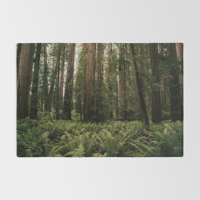 Redwood Forest Rug Gallery Image 2
