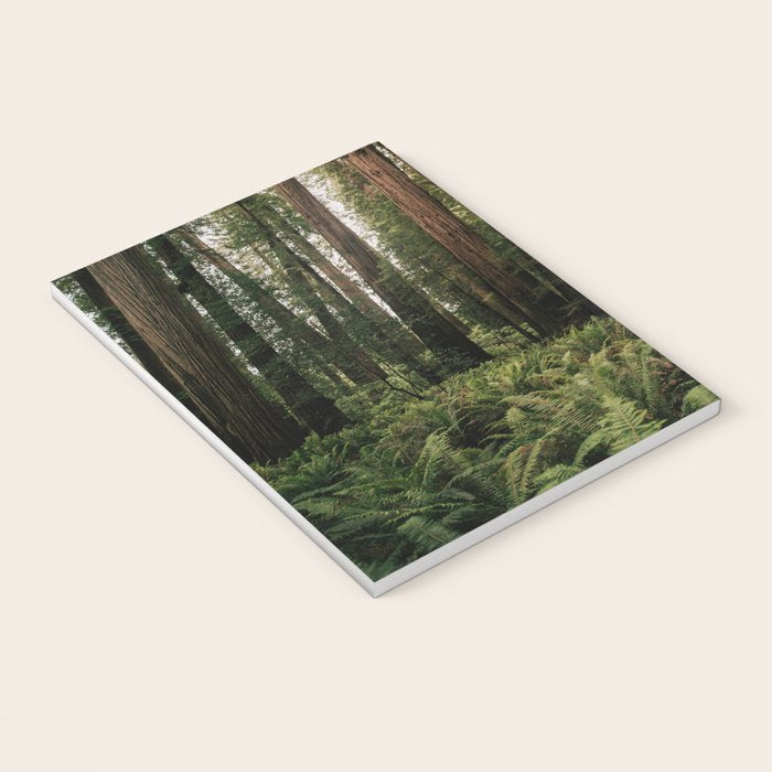 Redwood Forest Notebook Gallery Image 3