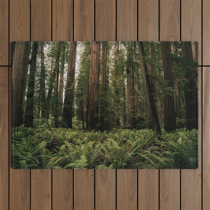Redwood Forest Outdoor Rug Gallery Image 1