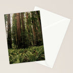 Redwood Forest Stationery Card Gallery Image 2