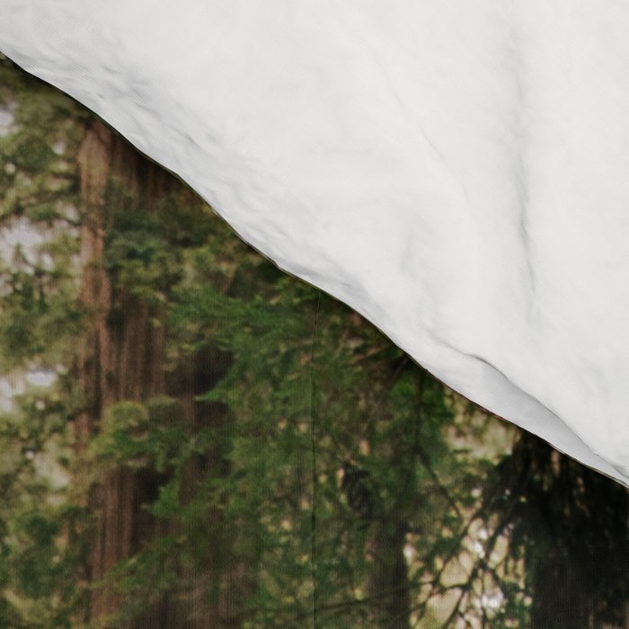 Redwood Forest Comforter Gallery Image 4