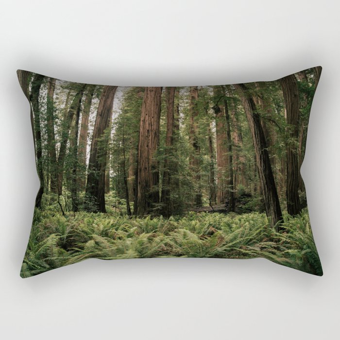 Redwood Forest Rectangular Pillow Gallery Image 2