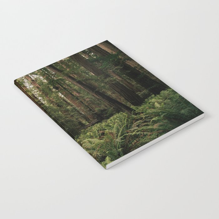 Redwood Forest Notebook Gallery Image 2