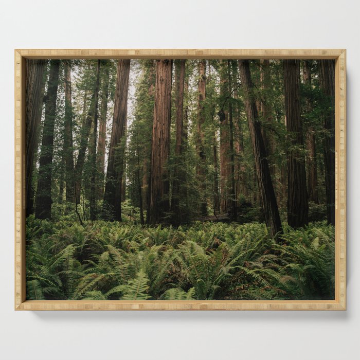 Redwood Forest Serving Tray Gallery Image 1