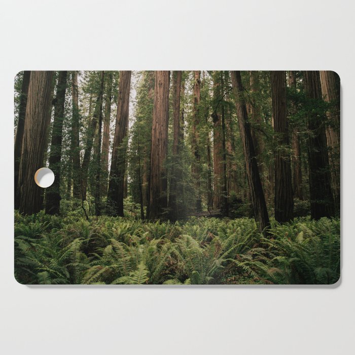 Redwood Forest Cutting Board Gallery Image 1
