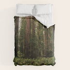 Redwood Forest Comforter Gallery Image 6