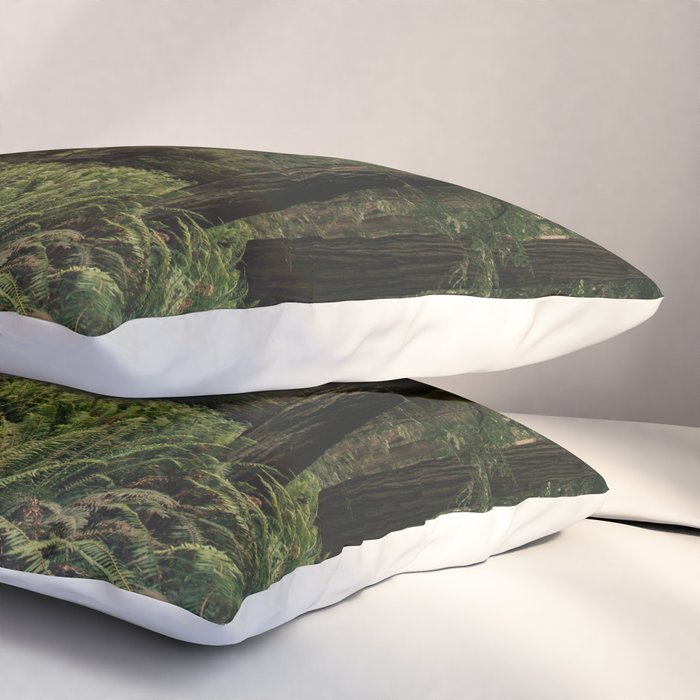 Redwood Forest Pillow Sham Gallery Image 3
