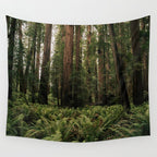 Redwood Forest Wall Tapestry Gallery Image 4