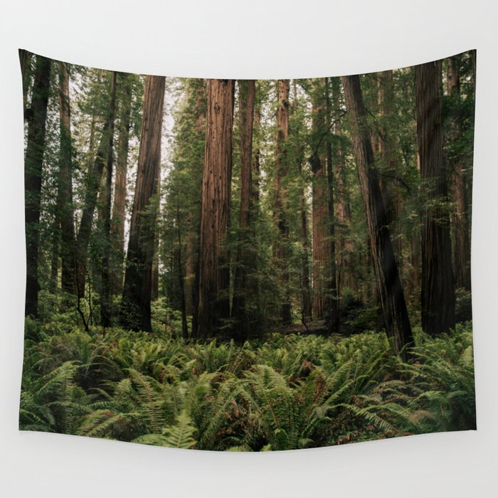 Redwood Forest Wall Tapestry Gallery Image 4