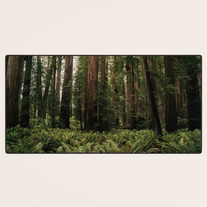 Redwood Forest Desk Mat Gallery Image 3