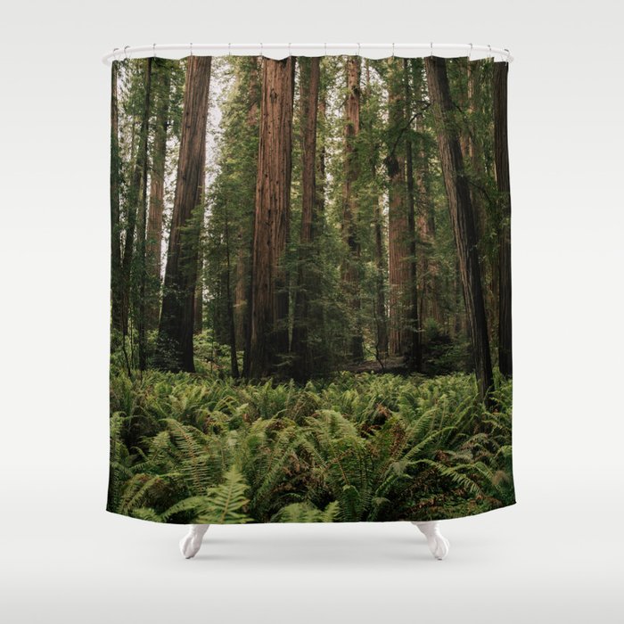Redwood Forest Shower Curtain Gallery Image 1