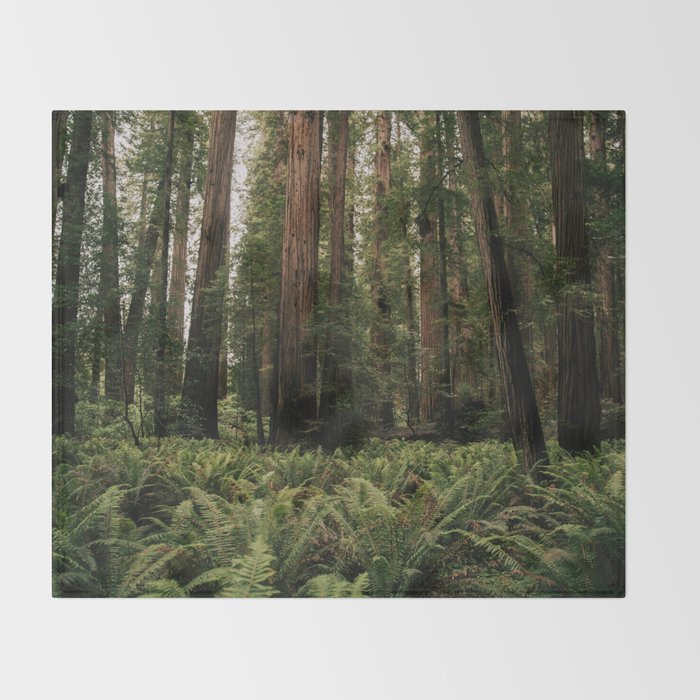 Redwood Forest Throw Blanket Gallery Image 2
