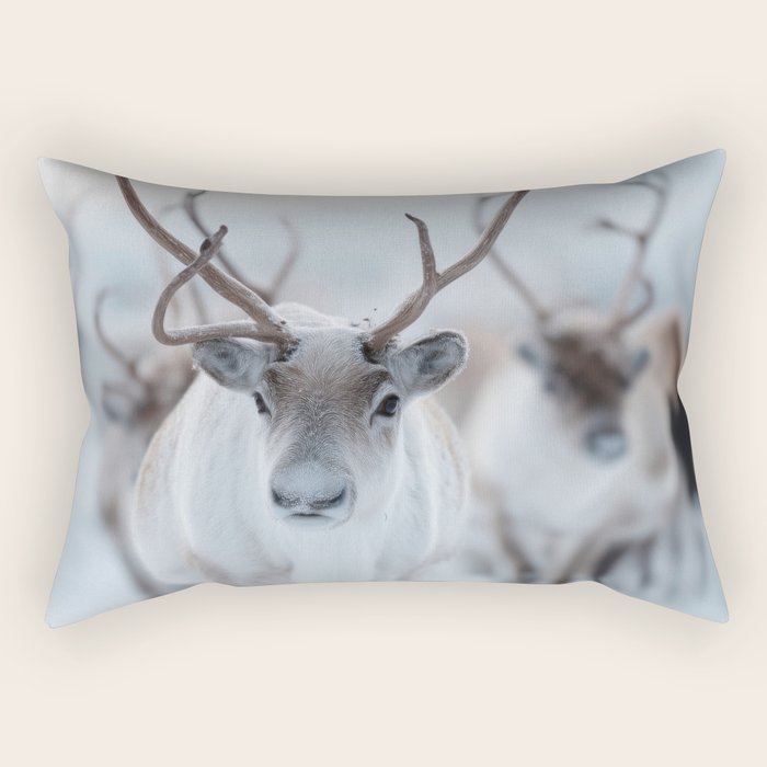 Reindeer in the Snow - Nordic Wildlife Photography Print Rectangular Pillow Gallery Image 1