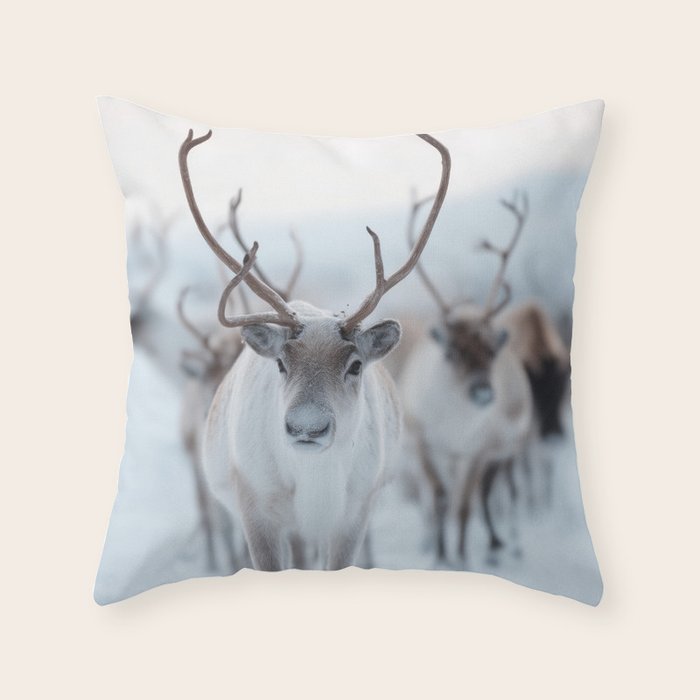 Reindeer in the Snow - Nordic Wildlife Photography Print Throw Pillow Gallery Image 6