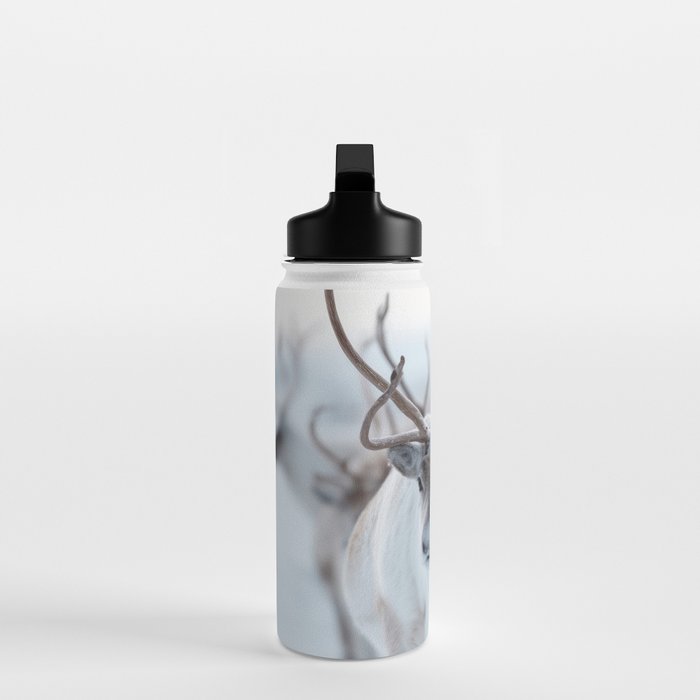 Reindeer in the Snow - Nordic Wildlife Photography Print Water Bottle Gallery Image 3